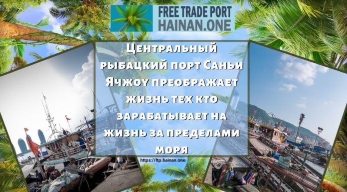 Центральный рыбацкий порт Саньи Ячжоу преображает жизнь тех кто зарабатывает на жизнь за пределами моря Центральный рыбацкий порт Саньи Ячжоу преображает жизнь тех кто зарабатывает на жизнь за пределами моря