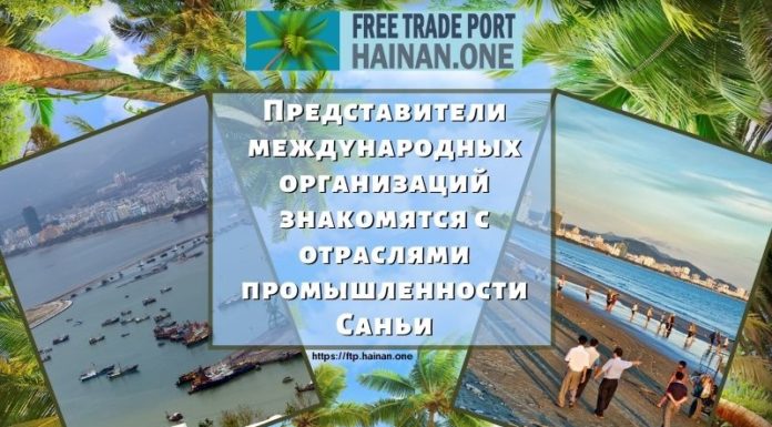 Представители международных организаций знакомятся с отраслями промышленности Саньи Представители международных организаций знакомятся с отраслями промышленности Саньи