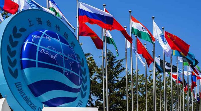 РОССИЯ-КИТАЙ-ШОС: новый взгляд на устойчивое развитие Россия-Китай-ШОС