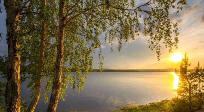 Смыслы Родины. Родниковая песня объединяет Родниковая песня