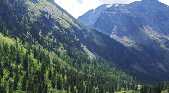 Туризм середины лета Туризм середины лета